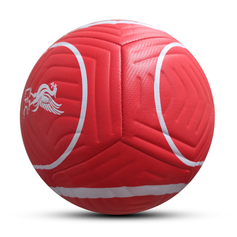 Bola de Futebol Nike/Adidas Oficial – Primeira Divisão